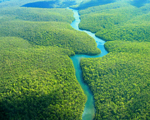 peru_amazon